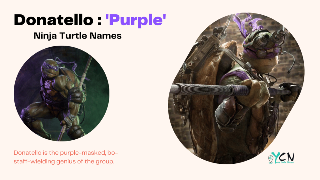 Donatello : 'Purple'