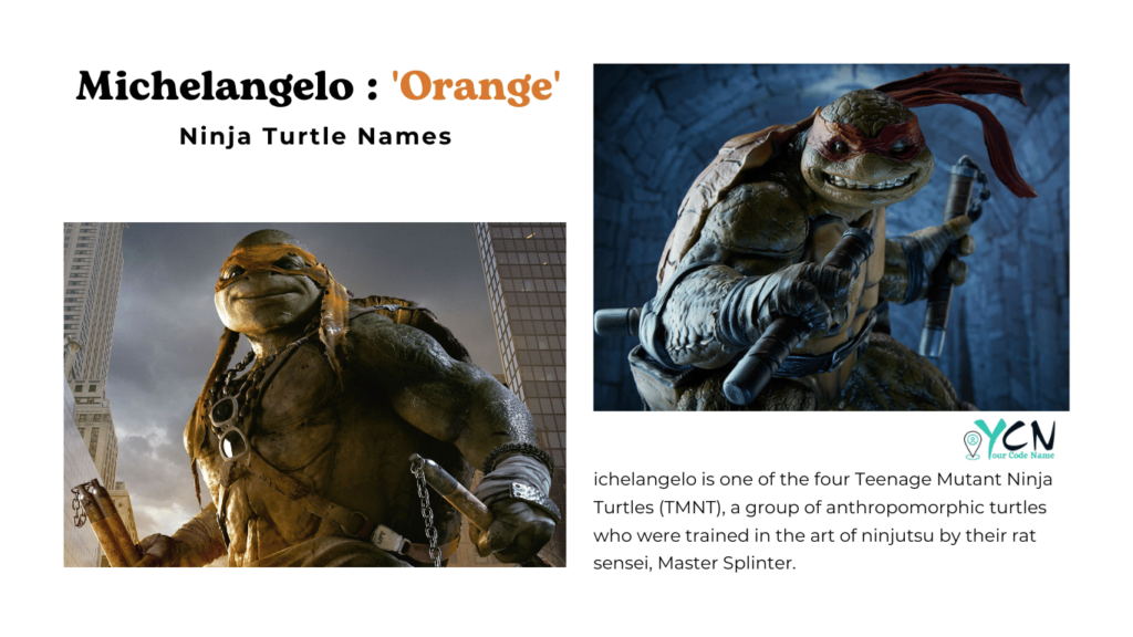 Michelangelo - 'Orange'